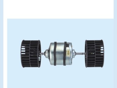 Blower Motor — 神网-8双轴电机