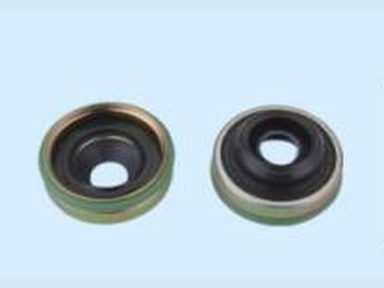 Compressor Oil Seal — 10PA30CB友色