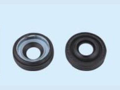 Compressor Oil Seal — 奔驰
