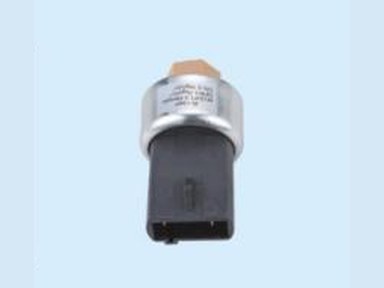 Pressure Valve — 福特全顺
