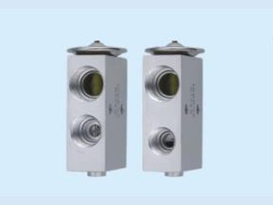 Expansion Valve — 斯太尔王