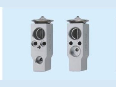Expansion Valve — 新大题王