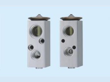 Expansion Valve — 别克凯能
